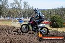 Champions Ride Days MotoX Broadford 01 12 2013 - 6CR_5073