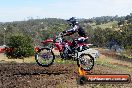 Champions Ride Days MotoX Broadford 01 12 2013 - 6CR_5100