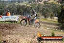 Champions Ride Days MotoX Broadford 01 12 2013 - 6CR_5103