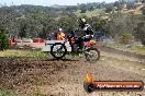 Champions Ride Days MotoX Broadford 01 12 2013 - 6CR_5104
