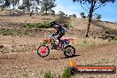 Champions Ride Days MotoX Broadford 01 12 2013 - 6CR_5131