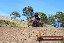 Champions Ride Days MotoX Broadford 01 12 2013 - 6CR_5144