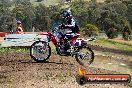 Champions Ride Days MotoX Broadford 01 12 2013 - 6CR_5153