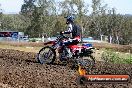 Champions Ride Days MotoX Broadford 01 12 2013 - 6CR_5155