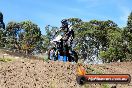 Champions Ride Days MotoX Broadford 01 12 2013 - 6CR_5167