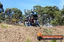 Champions Ride Days MotoX Broadford 01 12 2013 - 6CR_5182