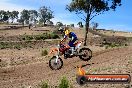 Champions Ride Days MotoX Broadford 01 12 2013 - 6CR_5190