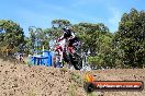 Champions Ride Days MotoX Broadford 01 12 2013 - 6CR_5195