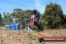 Champions Ride Days MotoX Broadford 01 12 2013 - 6CR_5238