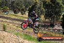 Champions Ride Days MotoX Broadford 01 12 2013 - 6CR_5250