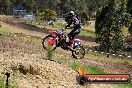 Champions Ride Days MotoX Broadford 01 12 2013 - 6CR_5251