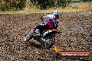 Champions Ride Days MotoX Broadford 01 12 2013 - 6CR_5270