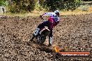 Champions Ride Days MotoX Broadford 01 12 2013 - 6CR_5271