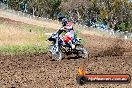 Champions Ride Days MotoX Broadford 01 12 2013 - 6CR_5281