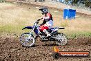 Champions Ride Days MotoX Broadford 01 12 2013 - 6CR_5283