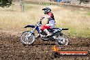 Champions Ride Days MotoX Broadford 01 12 2013 - 6CR_5284