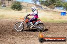 Champions Ride Days MotoX Broadford 01 12 2013 - 6CR_5290
