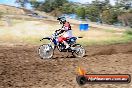Champions Ride Days MotoX Broadford 01 12 2013 - 6CR_5299