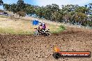 Champions Ride Days MotoX Broadford 01 12 2013 - 6CR_5303