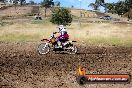 Champions Ride Days MotoX Broadford 01 12 2013 - 6CR_5306