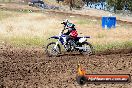 Champions Ride Days MotoX Broadford 01 12 2013 - 6CR_5311