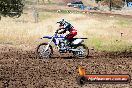 Champions Ride Days MotoX Broadford 01 12 2013 - 6CR_5312