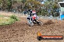 Champions Ride Days MotoX Broadford 01 12 2013 - 6CR_5318