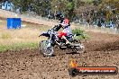 Champions Ride Days MotoX Broadford 01 12 2013 - 6CR_5319
