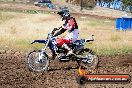 Champions Ride Days MotoX Broadford 01 12 2013 - 6CR_5321