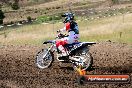 Champions Ride Days MotoX Broadford 01 12 2013 - 6CR_5324