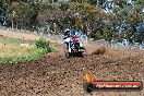 Champions Ride Days MotoX Broadford 01 12 2013 - 6CR_5326