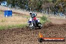 Champions Ride Days MotoX Broadford 01 12 2013 - 6CR_5328