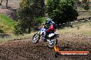 Champions Ride Days MotoX Broadford 01 12 2013 - 6CR_5335