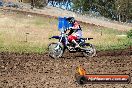 Champions Ride Days MotoX Broadford 01 12 2013 - 6CR_5337
