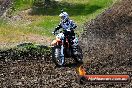 Champions Ride Days MotoX Broadford 01 12 2013 - 6CR_5350
