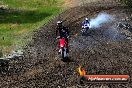 Champions Ride Days MotoX Broadford 01 12 2013 - 6CR_5368