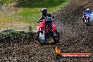 Champions Ride Days MotoX Broadford 01 12 2013 - 6CR_5371