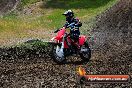 Champions Ride Days MotoX Broadford 01 12 2013 - 6CR_5372