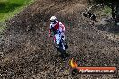 Champions Ride Days MotoX Broadford 01 12 2013 - 6CR_5384