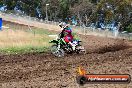 Champions Ride Days MotoX Broadford 01 12 2013 - 6CR_5404