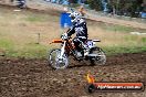 Champions Ride Days MotoX Broadford 01 12 2013 - 6CR_5412