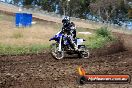 Champions Ride Days MotoX Broadford 01 12 2013 - 6CR_5421