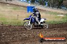 Champions Ride Days MotoX Broadford 01 12 2013 - 6CR_5422