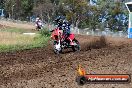 Champions Ride Days MotoX Broadford 01 12 2013 - 6CR_5434