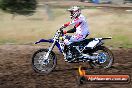 Champions Ride Days MotoX Broadford 01 12 2013 - 6CR_5443