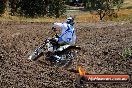 Champions Ride Days MotoX Broadford 01 12 2013 - 6CR_5472