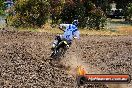 Champions Ride Days MotoX Broadford 01 12 2013 - 6CR_5473