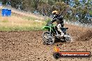 Champions Ride Days MotoX Broadford 01 12 2013 - 6CR_5482