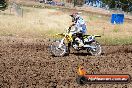Champions Ride Days MotoX Broadford 01 12 2013 - 6CR_5494
