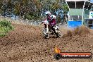 Champions Ride Days MotoX Broadford 01 12 2013 - 6CR_5503